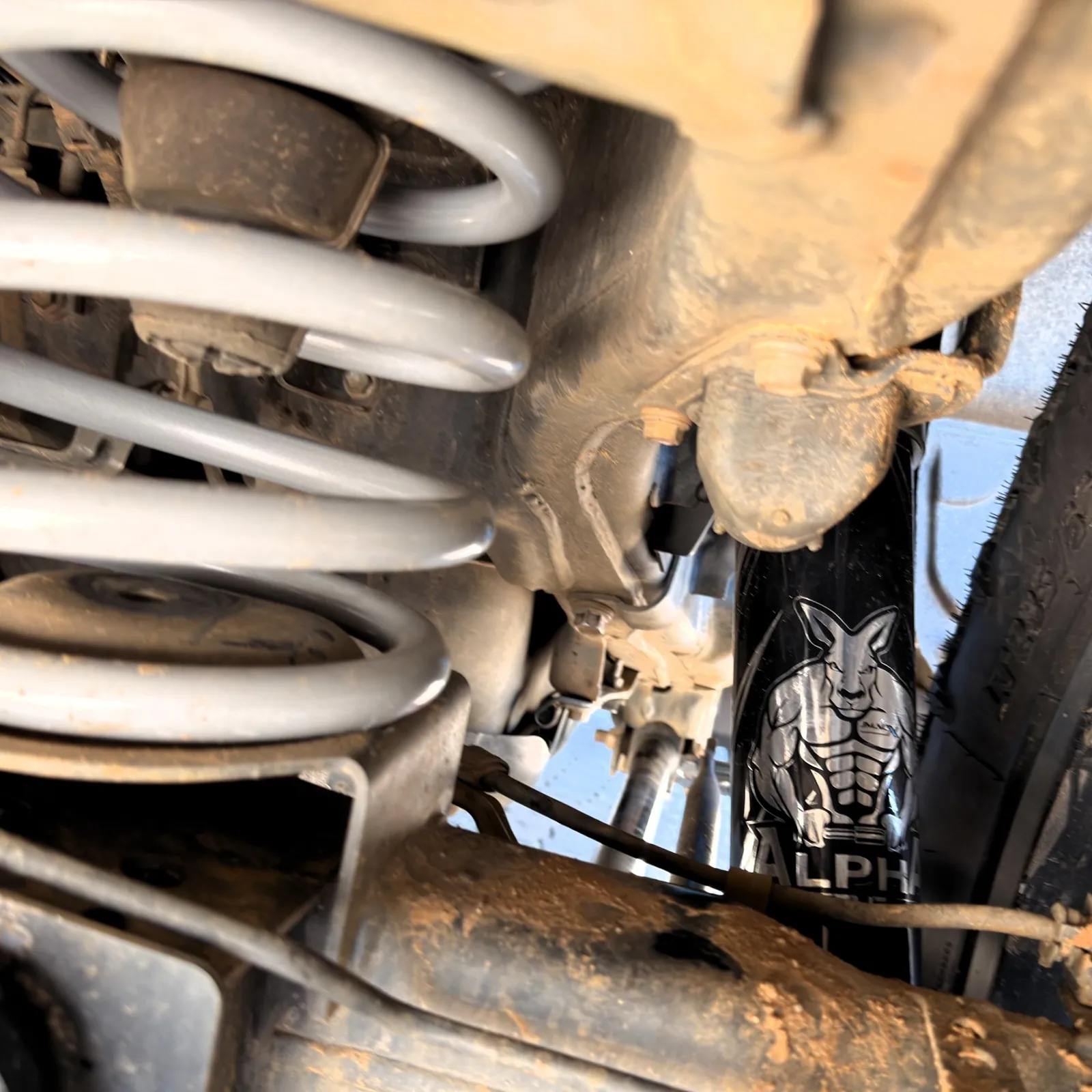 Alpha shock and coil spring detail under the vehicle