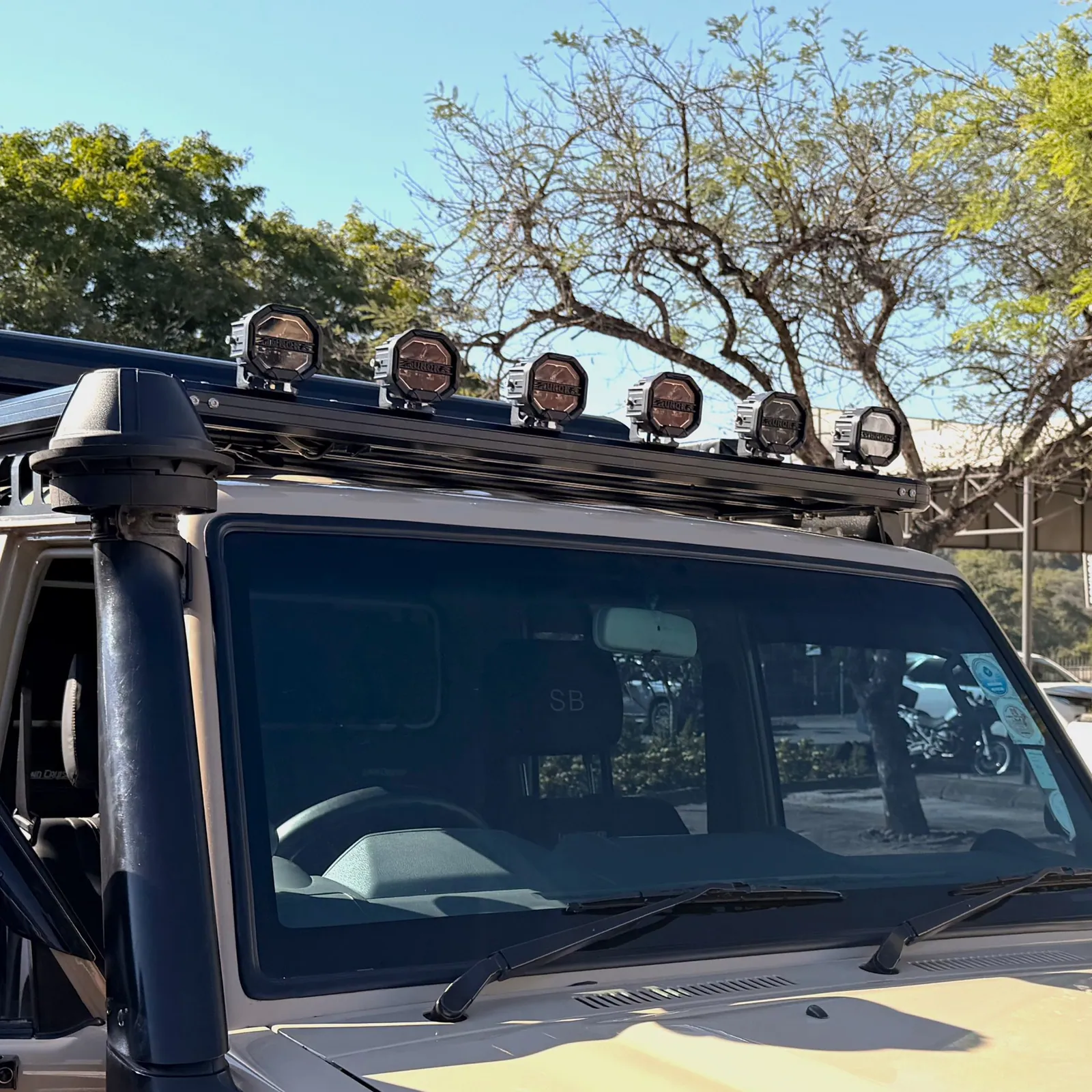 Onca roof rack and mirror brackets